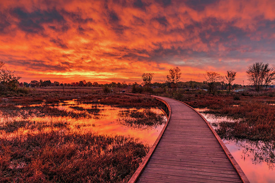 Boardwalk Of Fire Photograph by Gregory Ballos