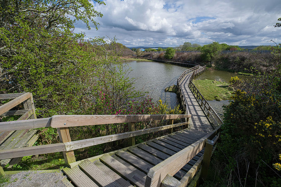 Boardwalk through Merkinch Local Nature Reserve, Inverness Photograph by David L Moore
