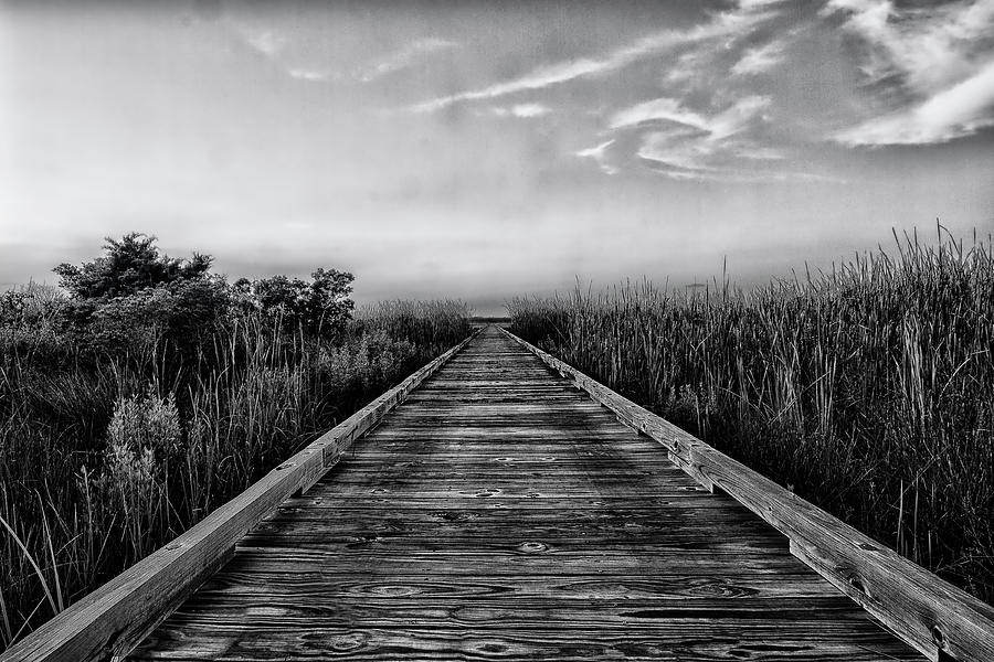 Boardwalk to Infinity in Black and White Photograph by Bob Decker