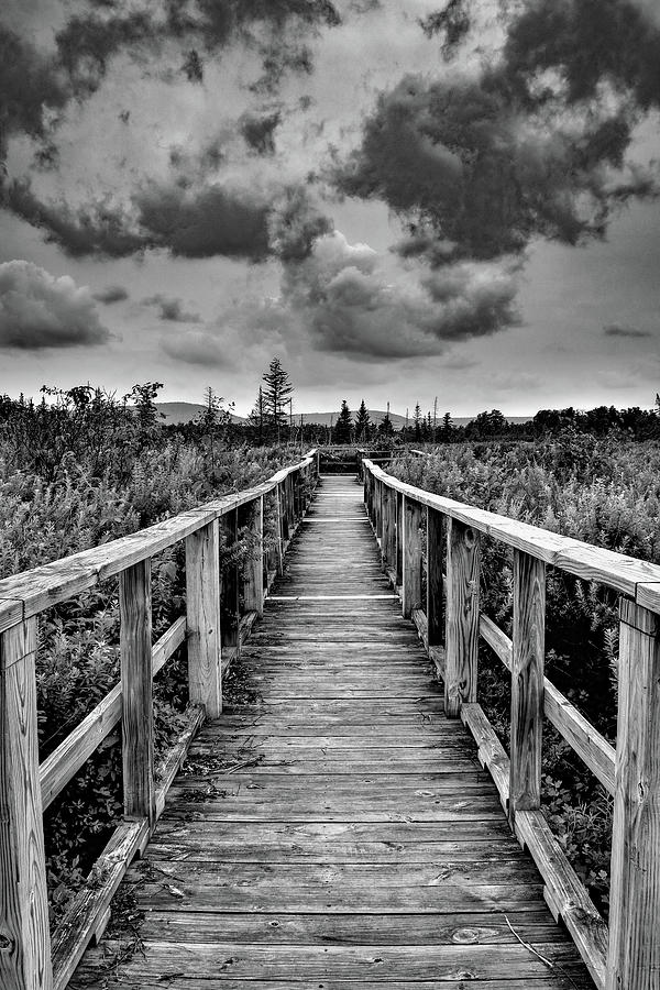 Boardwalk To Nature Canaan Valley West Virginia Landscape Photograph by Aaron Geraud