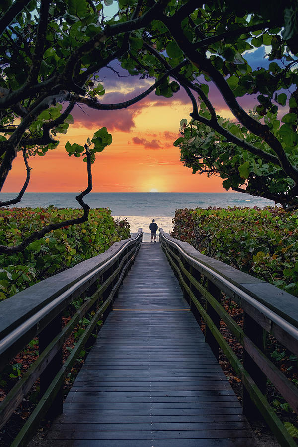 Boardwalk to the Beach at Jupiter Florida Photograph by Kim Seng - Fine ...