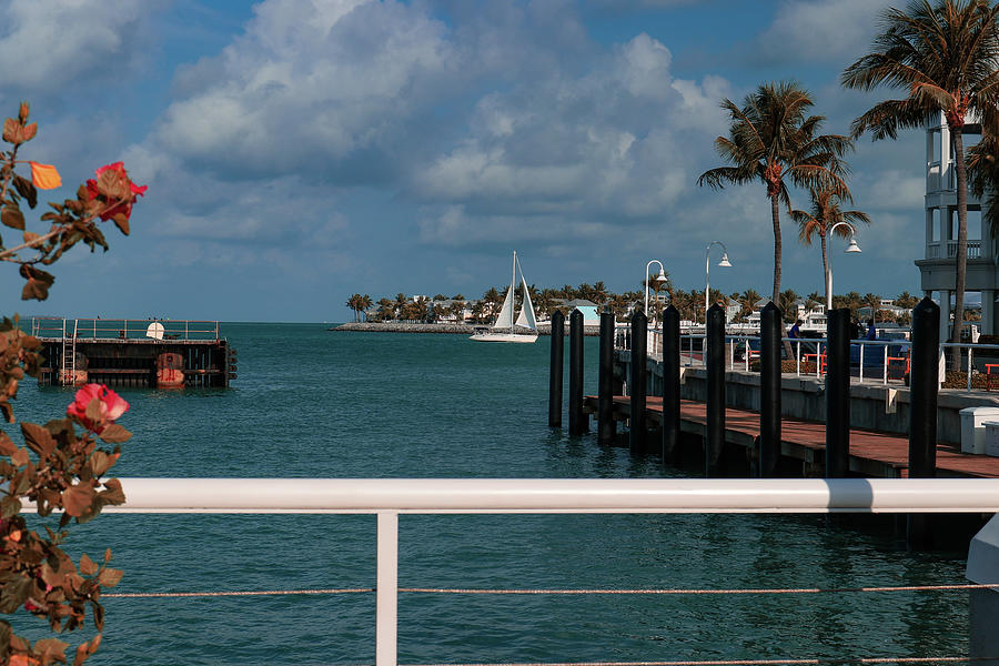 Boardwalk Vist - Capturing Key Wests Maritime Beauty Photograph by Brigitte Blanchette Thompson Boardwalk Vist - Capturing Key Wests Maritime Beauty Photograph by Brigitte Blanchette Thompson