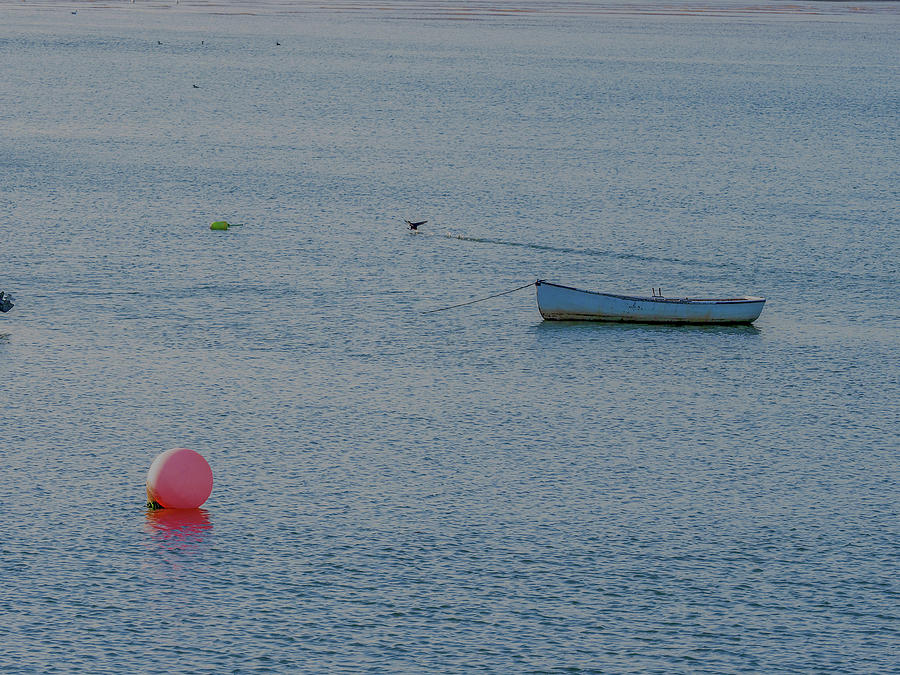 Boat and Buoy in Dipper Harbor_511 Photograph by James C Richardson