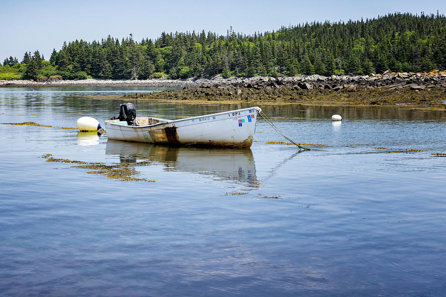 Boat at Mooring in Maine Photograph by Fran Gallogly