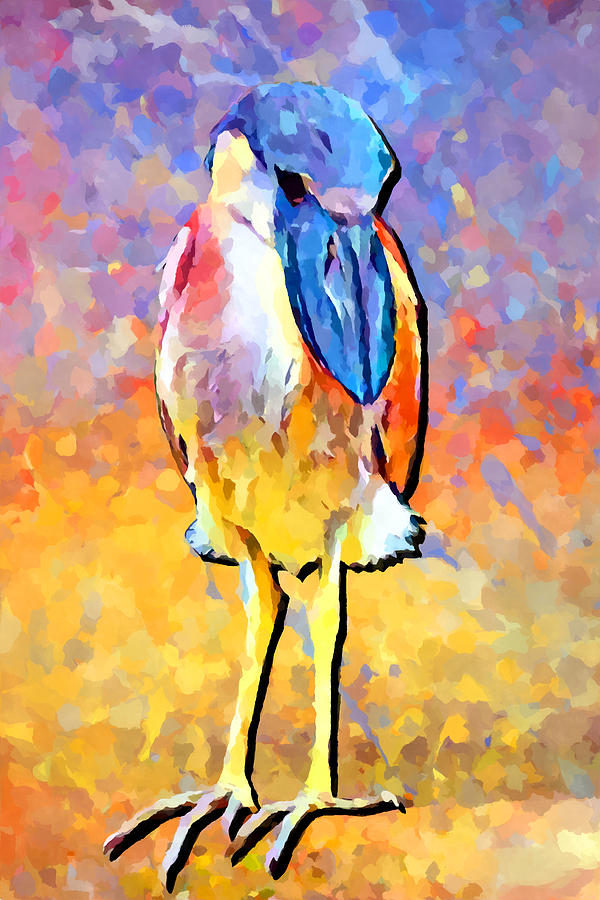 Boat-billed Heron Painting by Chris Butler