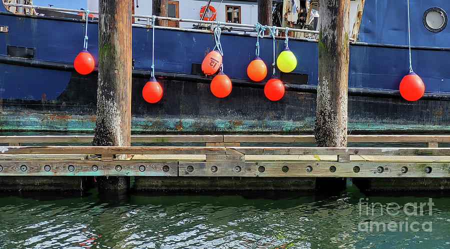 Boat Bumpers and Dock Photograph by Norma Appleton
