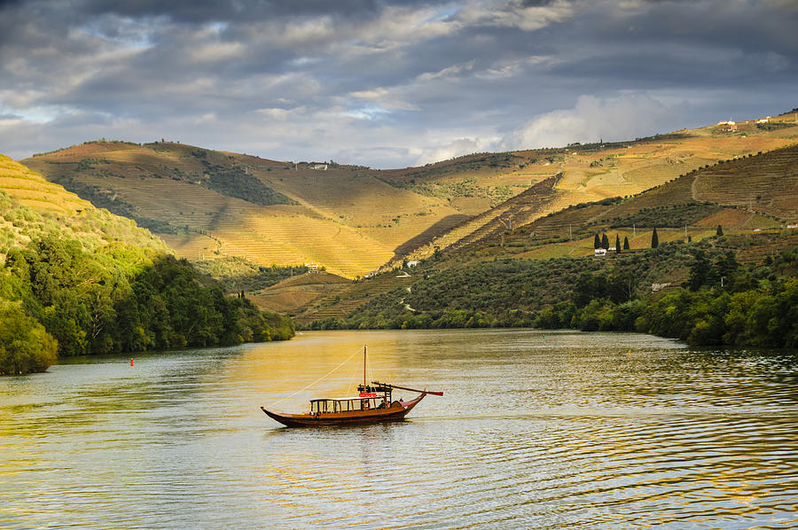 Boat cruising down river at sunset next to terraced vineyards Photograph by OGphoto