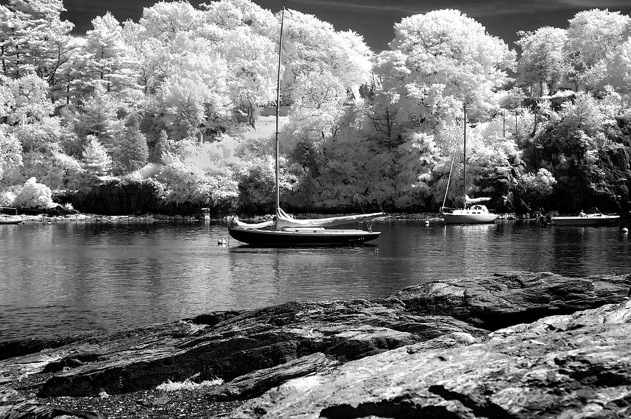 Boat Harbor Near Newport Photograph by Anthony M Davis
