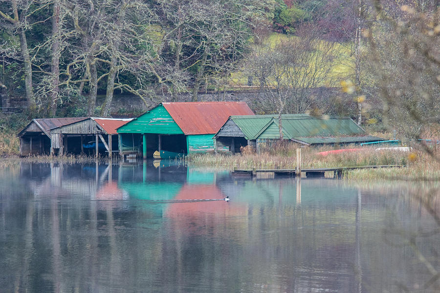Boat houses Photograph by Daniel Letford