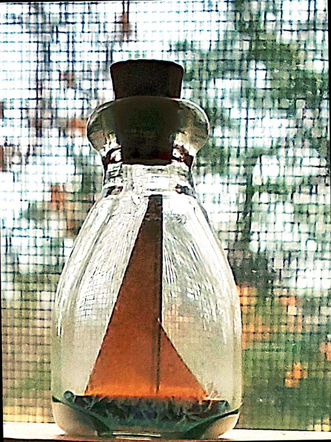 Boat in a Bottle Photograph by Stacie Siemsen