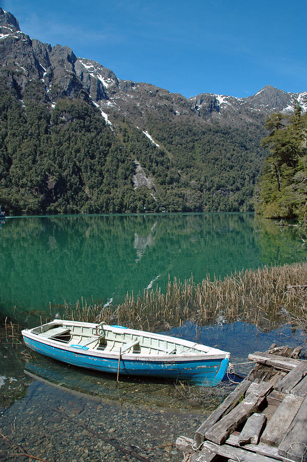 Boat in green waters Photograph by Marcos Radicella