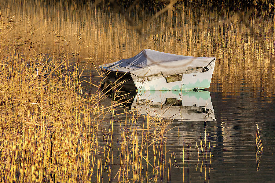 Boat in Reed Photograph by Wolfgang Stocker