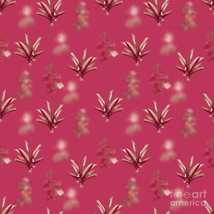 Vintage Mixed Media - Boat Lily Botanical Seamless Pattern in Viva Magenta n.0884 by Holy Rock Design