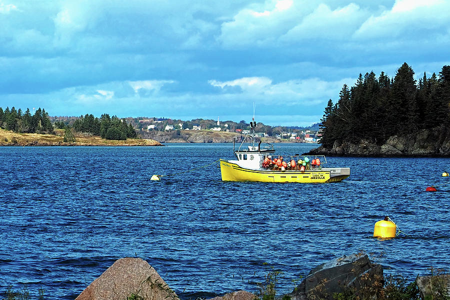 Boat of Buoys in Lubec Harbor Photograph by Bill Swartwout