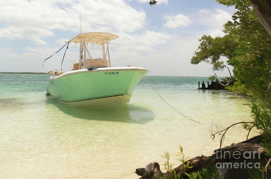Boat on Beach at Boca Chita Key in Biscayne National Park Photograph by David Oppenheimer
