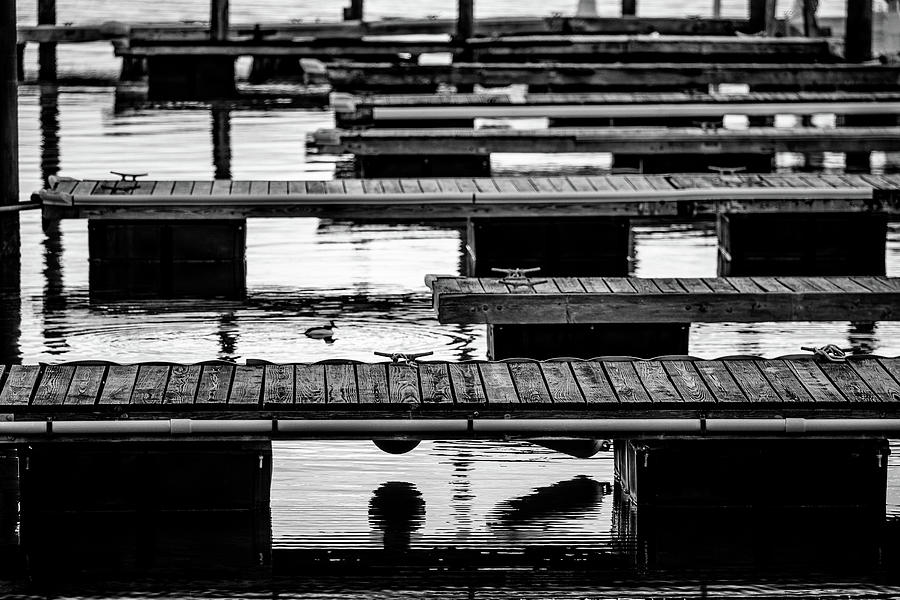 Boat Slips in Black and White Photograph by Denise Kopko