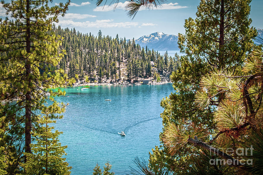 Boating Lake Tahoe Photograph by Susan Vineyard