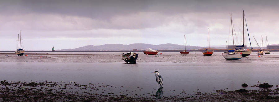 Boats Aground Photograph by Brian McCarthy