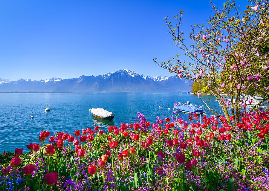 Boats anchored in Lake Geneva (Lac Leman), Montreux, Switzerland Photograph by Svjetlana