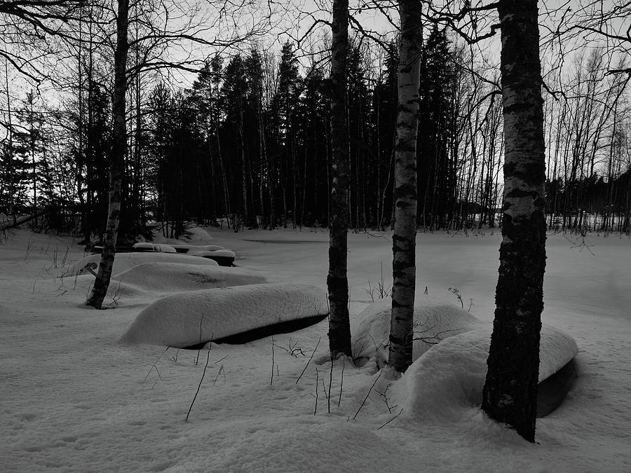 Boats and birches in the middle of the winter bw Photograph by Jouko Lehto