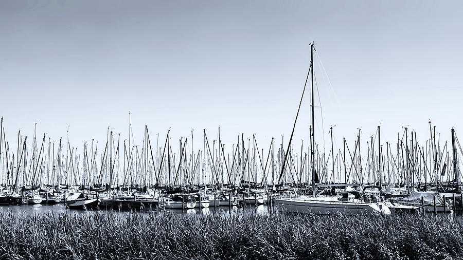 Boats Harbour Enkhuizen Holland Photograph by Lexa Harpell
