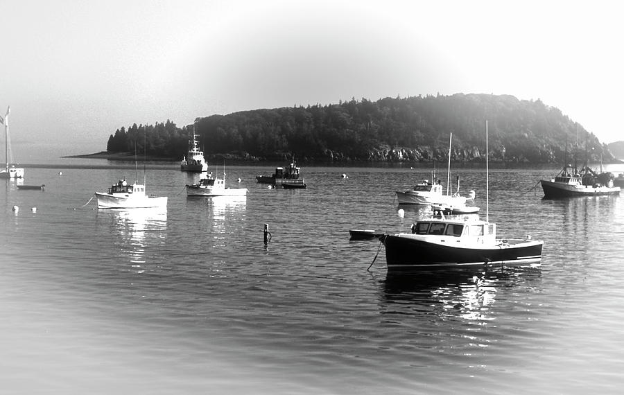 Boats in Fishermens Bay Bar Harbor Photograph by James C Richardson