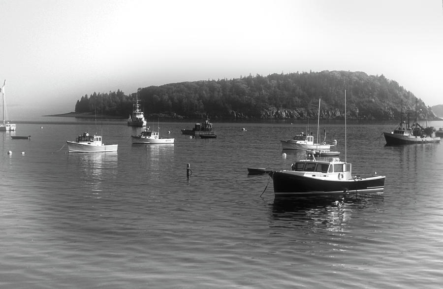 Boats in Fishermens Bay Photograph by James C Richardson