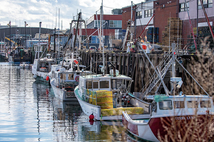 Boats in Gloucester Harbor Photograph by Denise Kopko