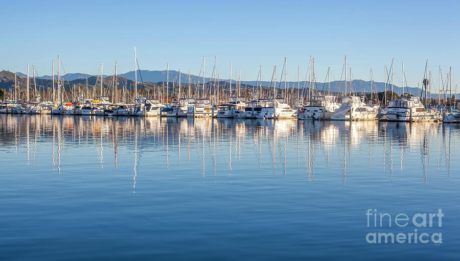 Boats in the Harbour Photograph by David Millenheft