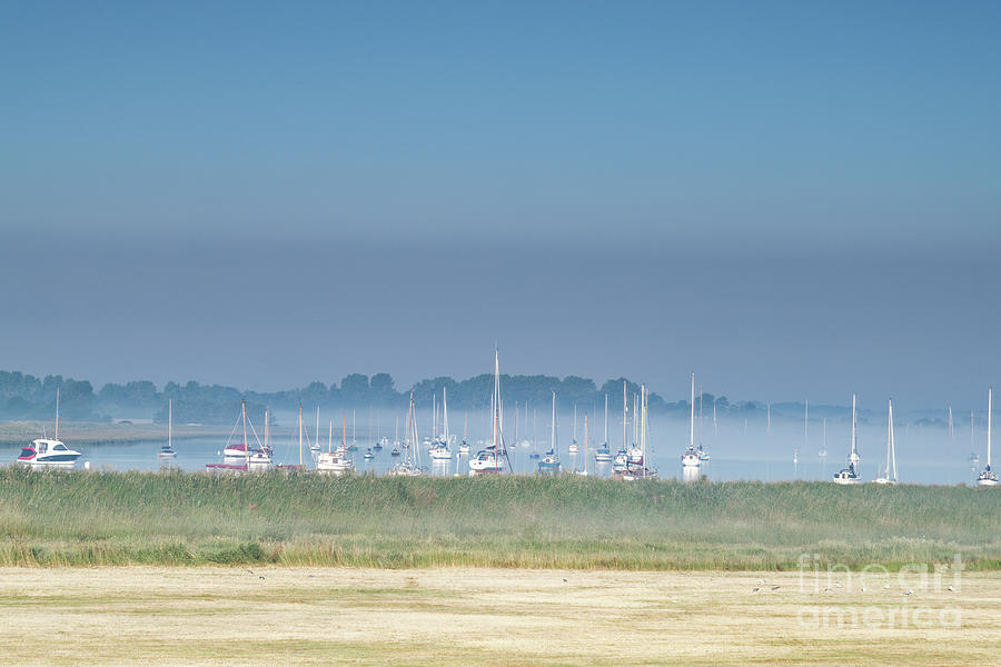 Boats In The Mist Photograph by Catherine Sullivan
