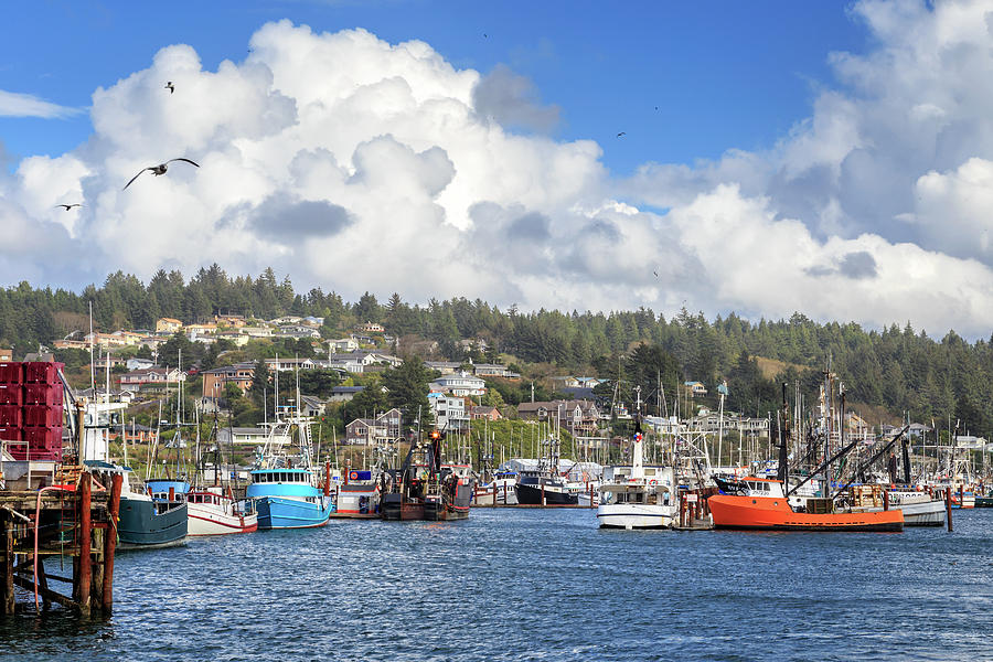 Boats In Yaquina Bay Photograph by James Eddy