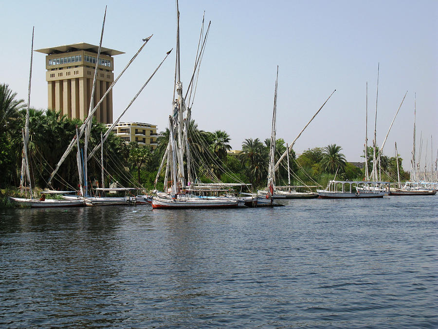 Boats on the Nile Photograph by Daniela White Images