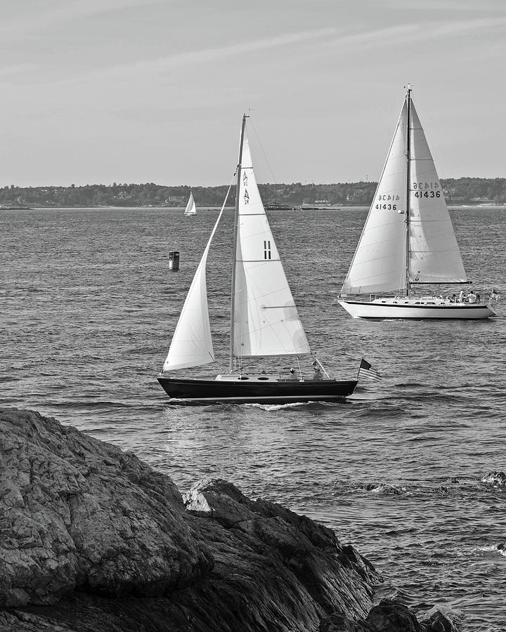 Boats Sailing on Marblehead Harbor Chandler Hovey Park Black and White Photograph by Toby McGuire