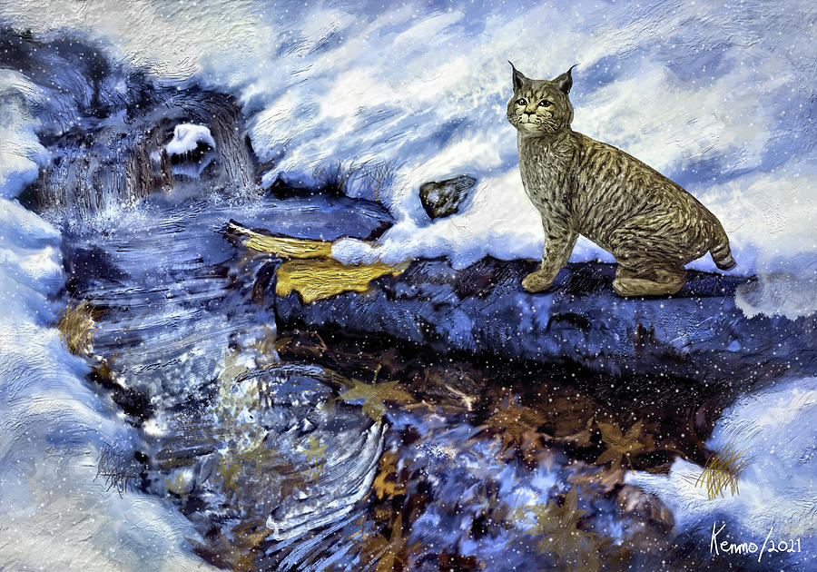 Bobcat by the Brook in Winter Digital Art by Ken Morris