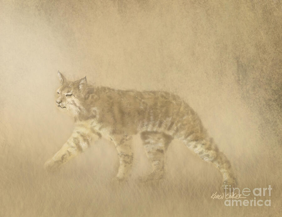Wildlife Digital Art - Bobcat in the Mist - Digital Fine Art by Karen Conger