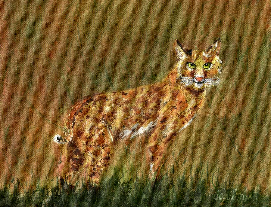 Bobcat Painting by Jamie Frier