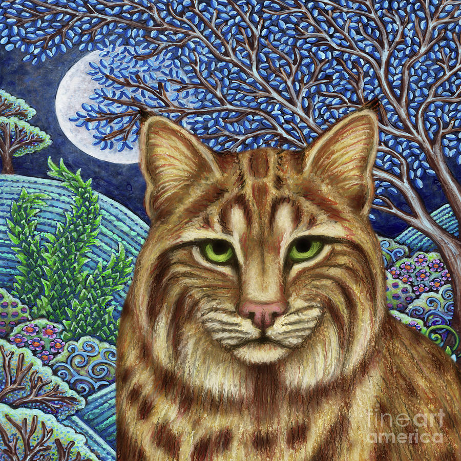Bobcat Moon Painting by Amy E Fraser
