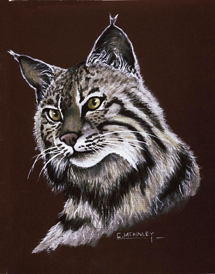 Bobcat Portrait Painting by Carl McKinley