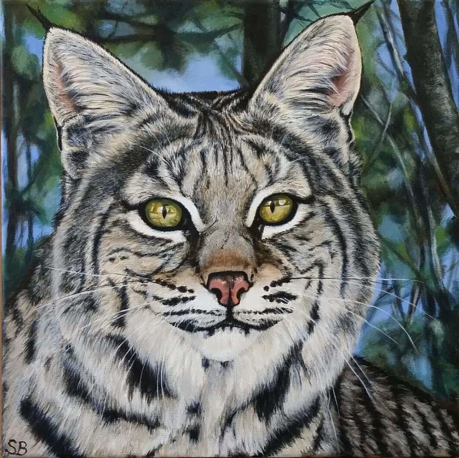 Bobcat  Painting by Sabina Bonifazi