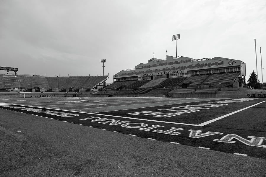 Bobcat Stadium at Montana State University in black and white Photograph by Eldon McGraw