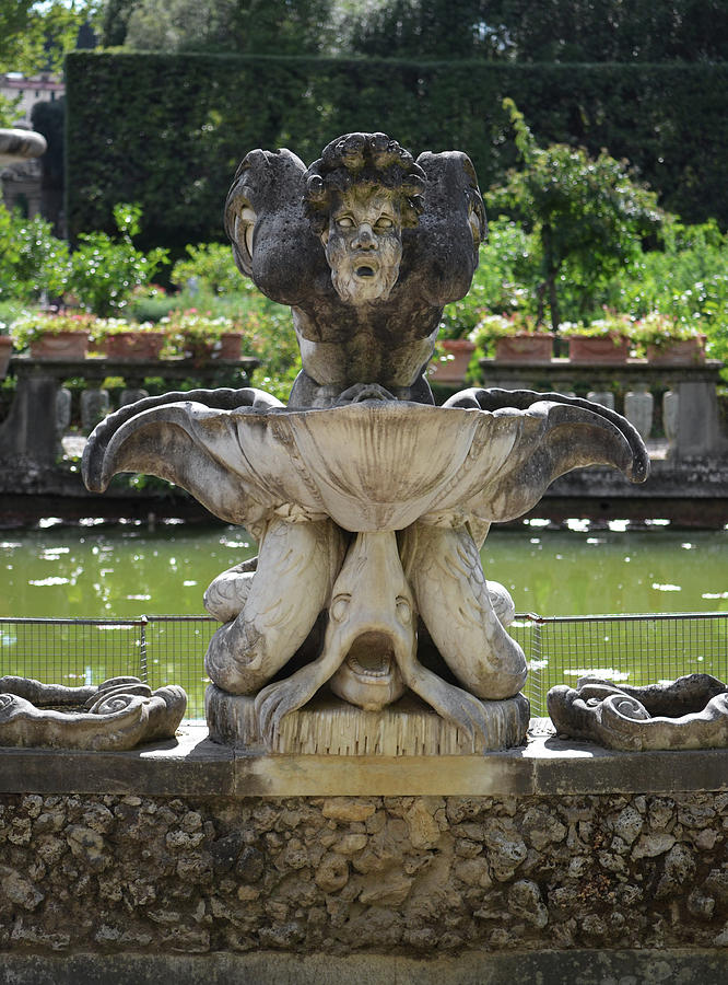 Boboli Gardens Fountain Statue Florence Italy Photograph by Shawn OBrien