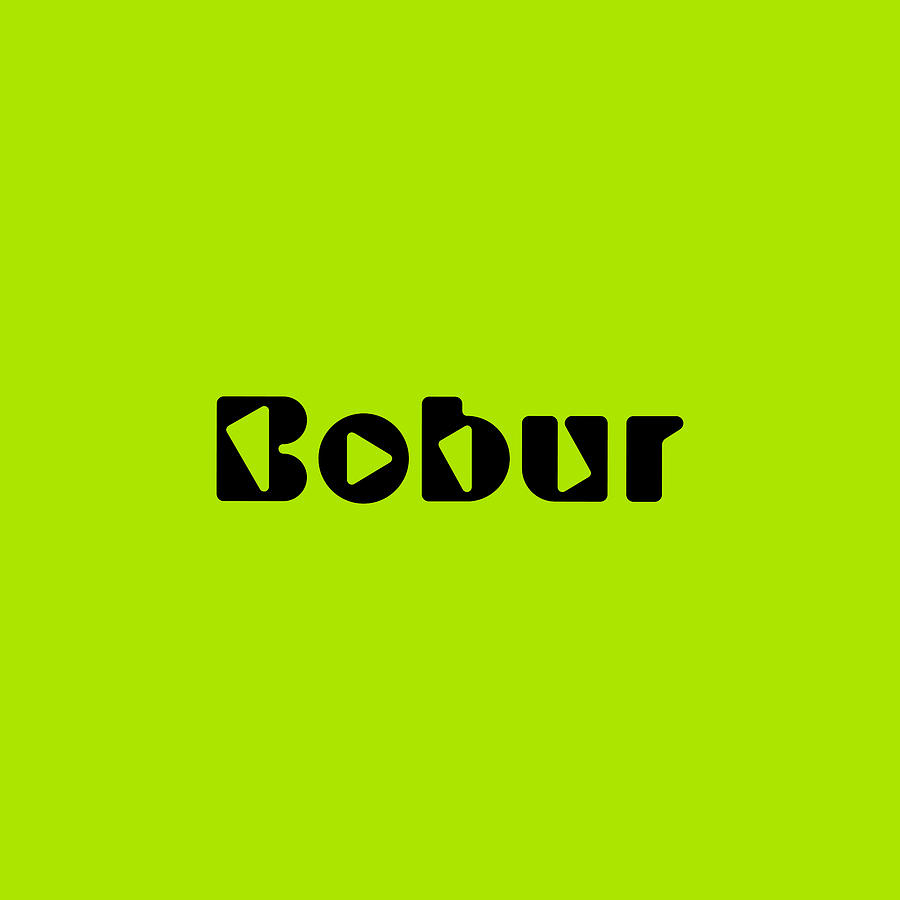 Bobur #Bobur Digital Art by TintoDesigns
