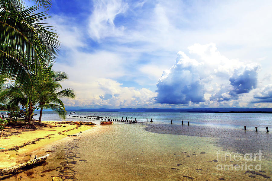 Boca del Drago in Panama Photograph by John Rizzuto