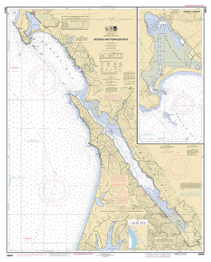 Bodega And Tomales Bays California, Noaa Chart 18643 Digital Art by