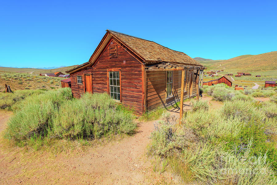 Bodie Ghost Town western houses Photograph by Benny Marty