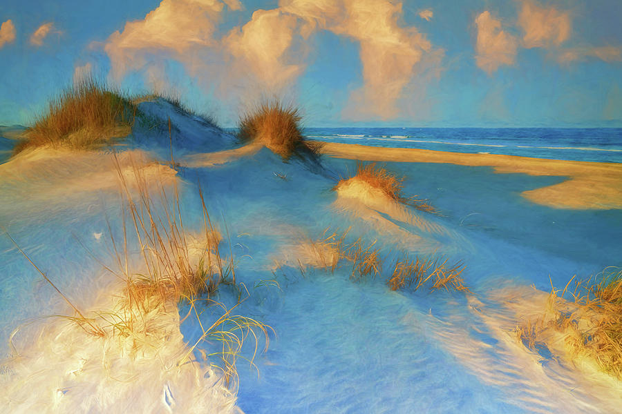 Beach Photograph - Bodie Island Dunes II Digital Painting by Rick Berk