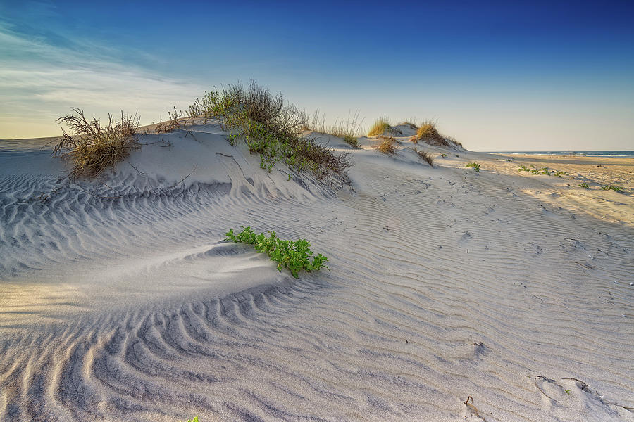Beach Photograph - Bodie Island Dunes by Rick Berk
