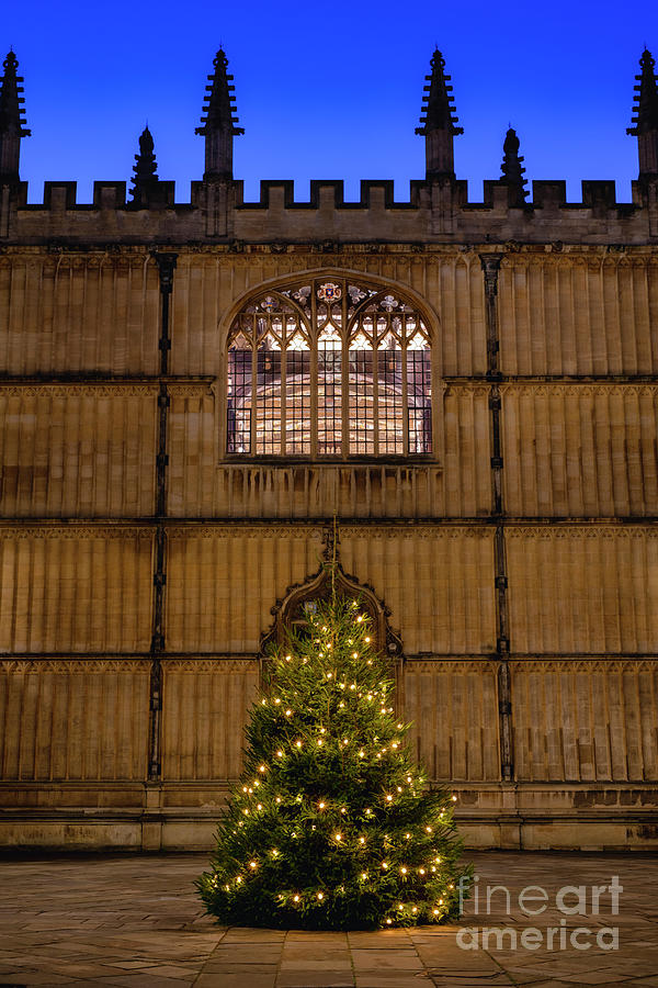 Bodleian Library Christmas Tree Oxford Photograph by Tim Gainey