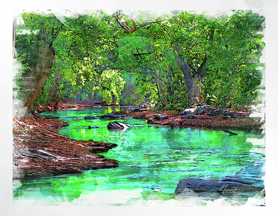 Body of Water Between Green Trees Digital Art by Dujuan Robertson
