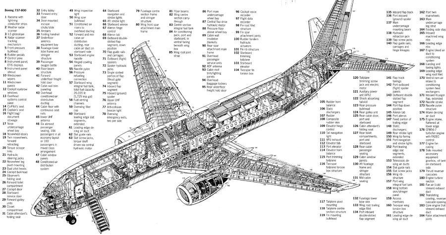 Boeing 737 800 Mixed Media by Aircraft Lover - Pixels